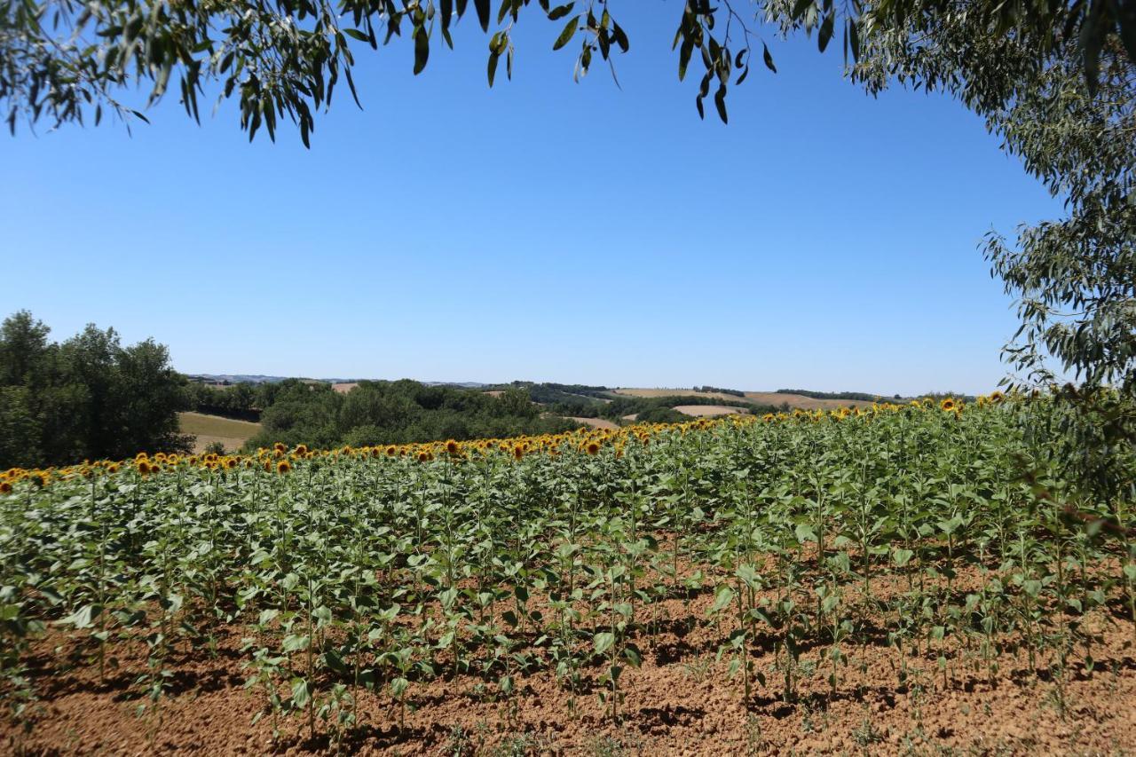 Le Clos Mirelie Gaujac  Buitenkant foto